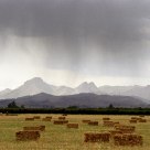 Harvest Shower